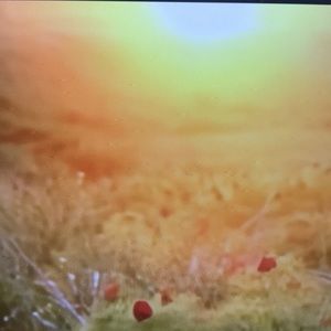 Meet your Posher, Milton